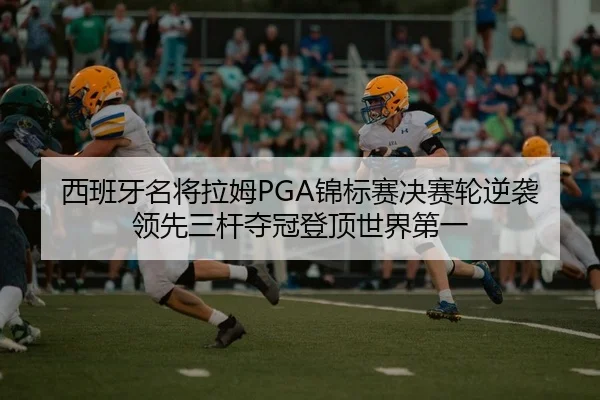 西班牙名将拉姆PGA锦标赛决赛轮逆袭领先三杆夺冠登顶世界第一